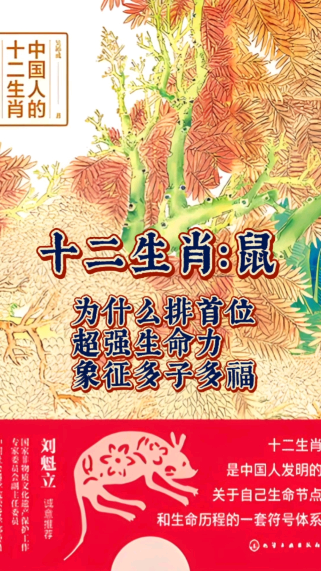 鼠年哪个生肖运势最差(鼠鼠鼠年运势好的生肖)