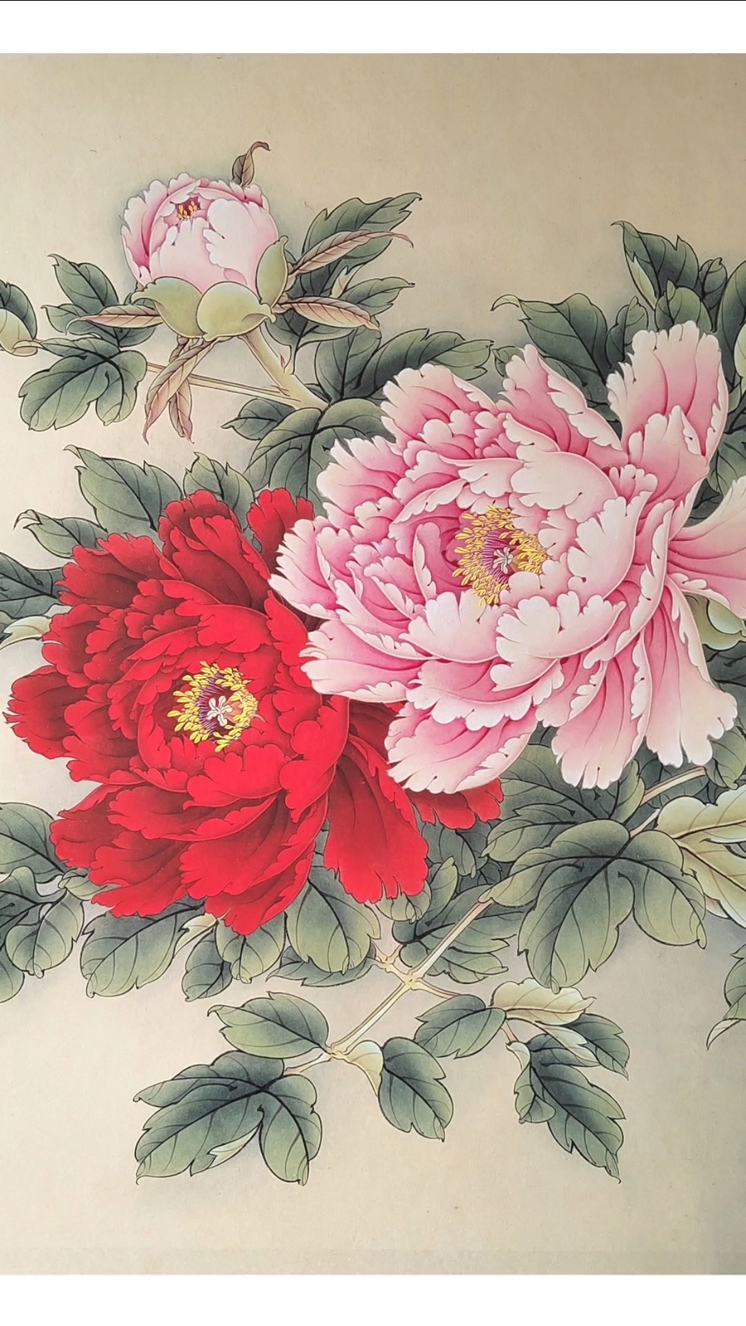 工笔牡丹 原创作品