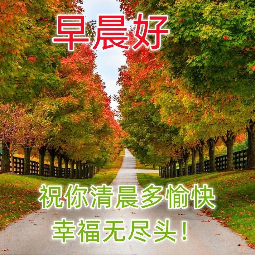 早安祝福语 问候大家早上好图片祝福 早安图片大全