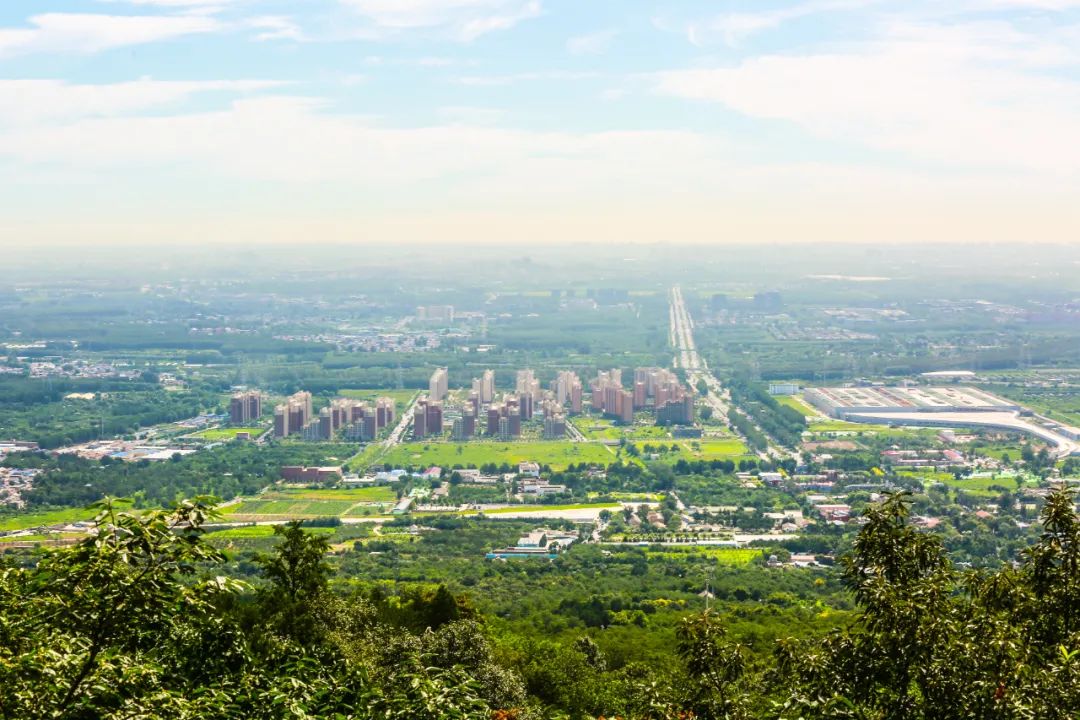 对话新镇长科技园区智慧赋能美丽乡村诗意栖居未来5年苏家坨镇答好这