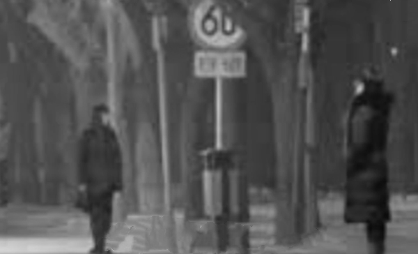 北京"闷棍凶手"焦文军,马俊落网记:连续作案数起,3年后落网