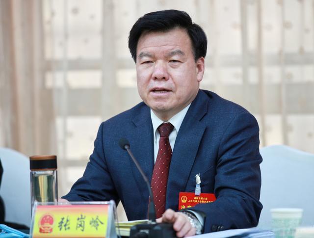 张岗岭在参加彬州代表团审议时强调凝聚共识谋发展干在实处开新局