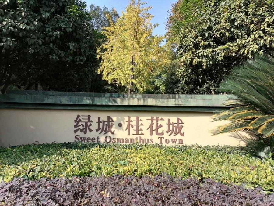 (二拍高价拍出)雨花区桂花城(绿城桂花城)栖霞苑f7栋308号