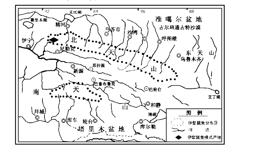 伊犁鼠兔:種群現存數量只有1000只左右,屬於我國獨有物種