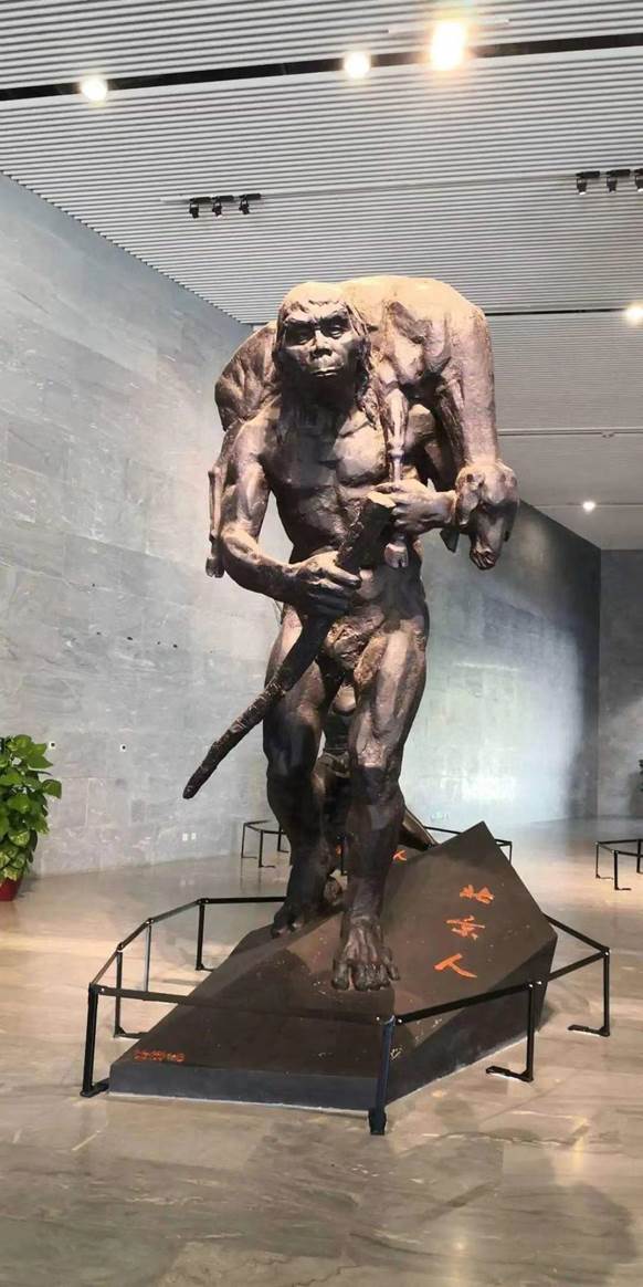 骇人伤痕揭示可怕历史:北京猿人遭入侵,被当成食物还被灭绝