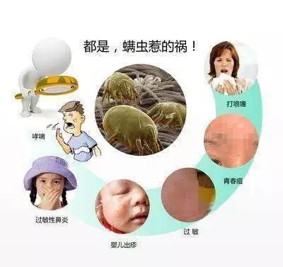 螨虫对人体的危害有多大,全身痒睡不着?教你这么做,干净又杀菌