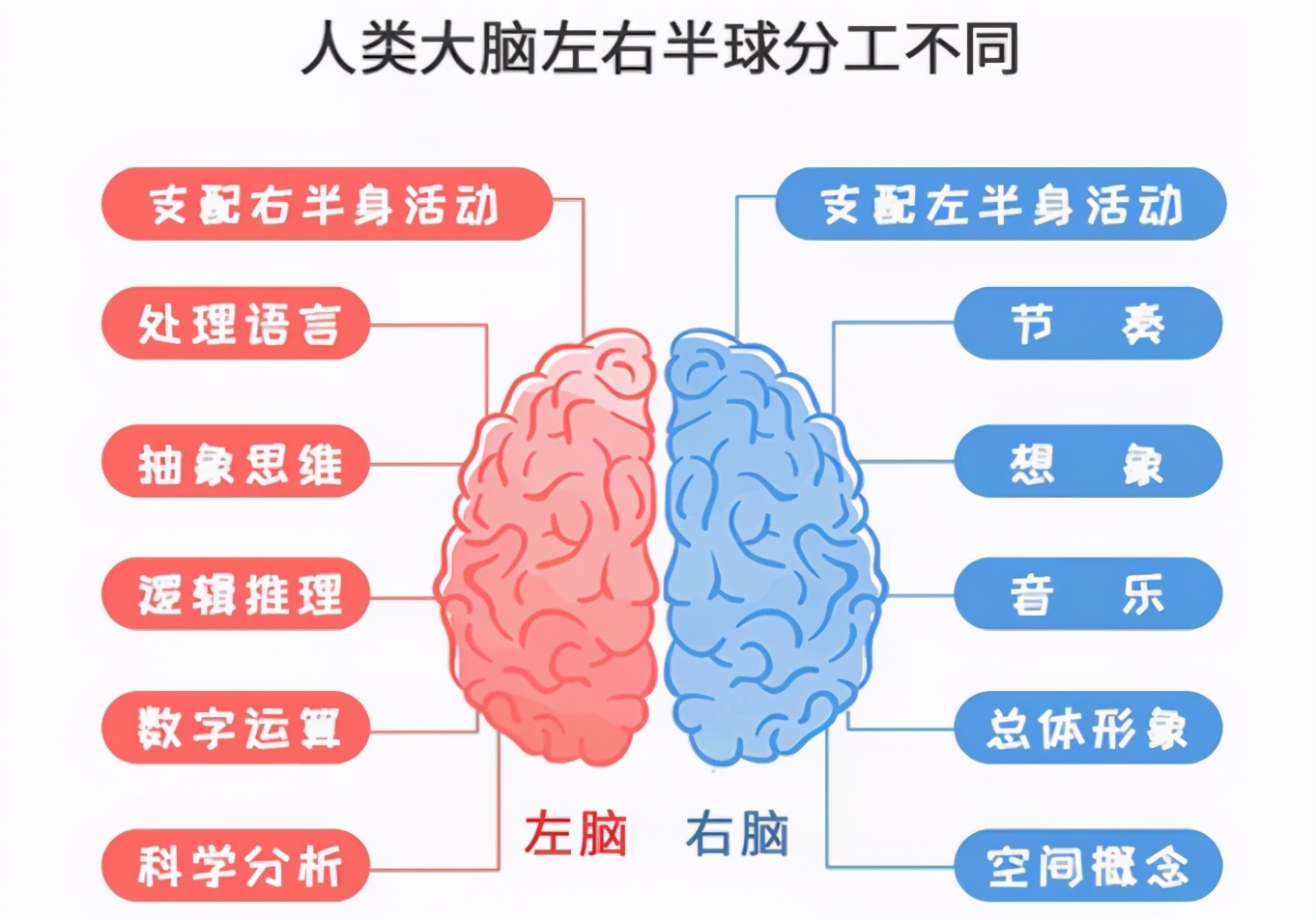 你家孩子是左脑型