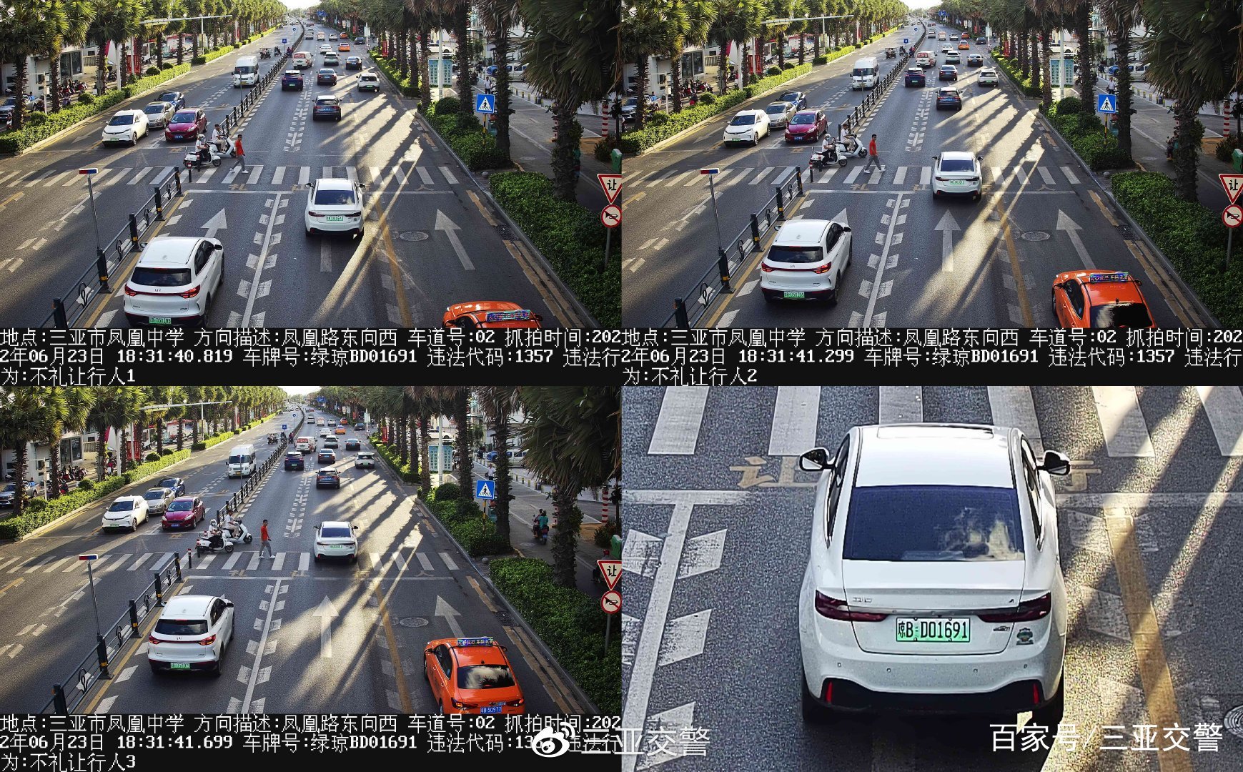 不文明交通行为曝光台｜机动车未礼让斑马线（七十四）(图18)