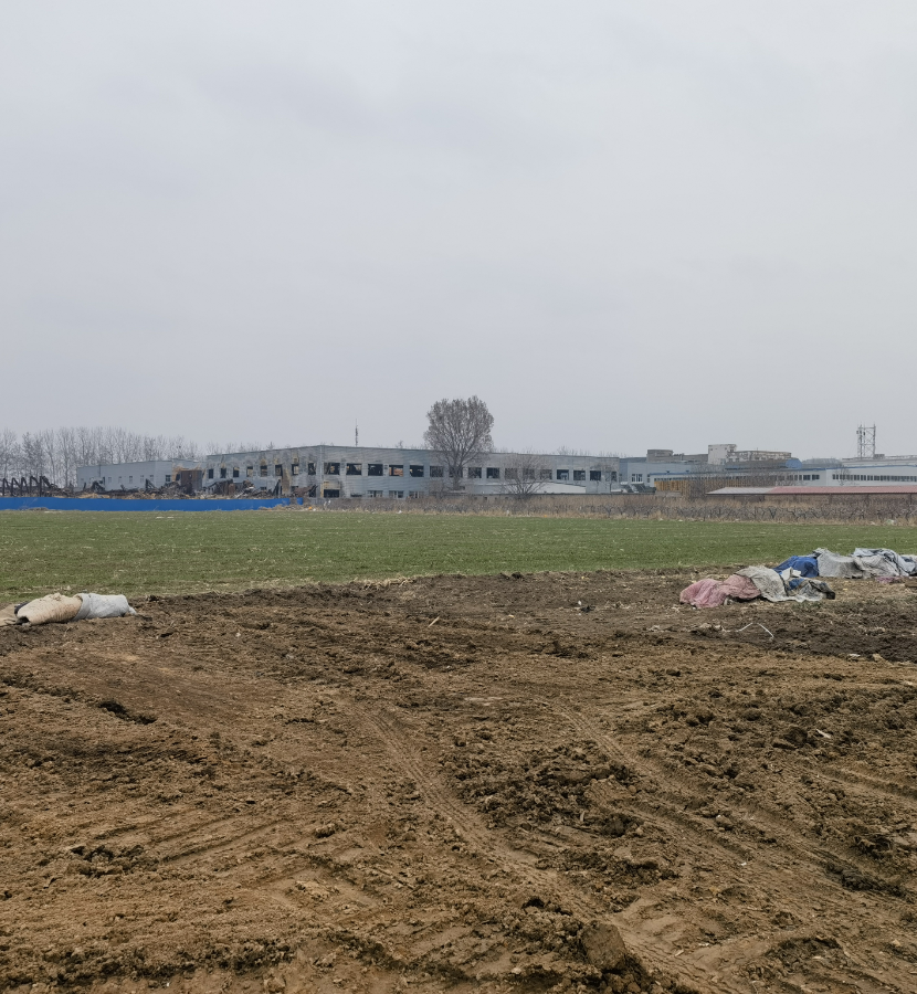 净"五边"促"五美" 大兴区长子营镇乡村"颜值"再提升