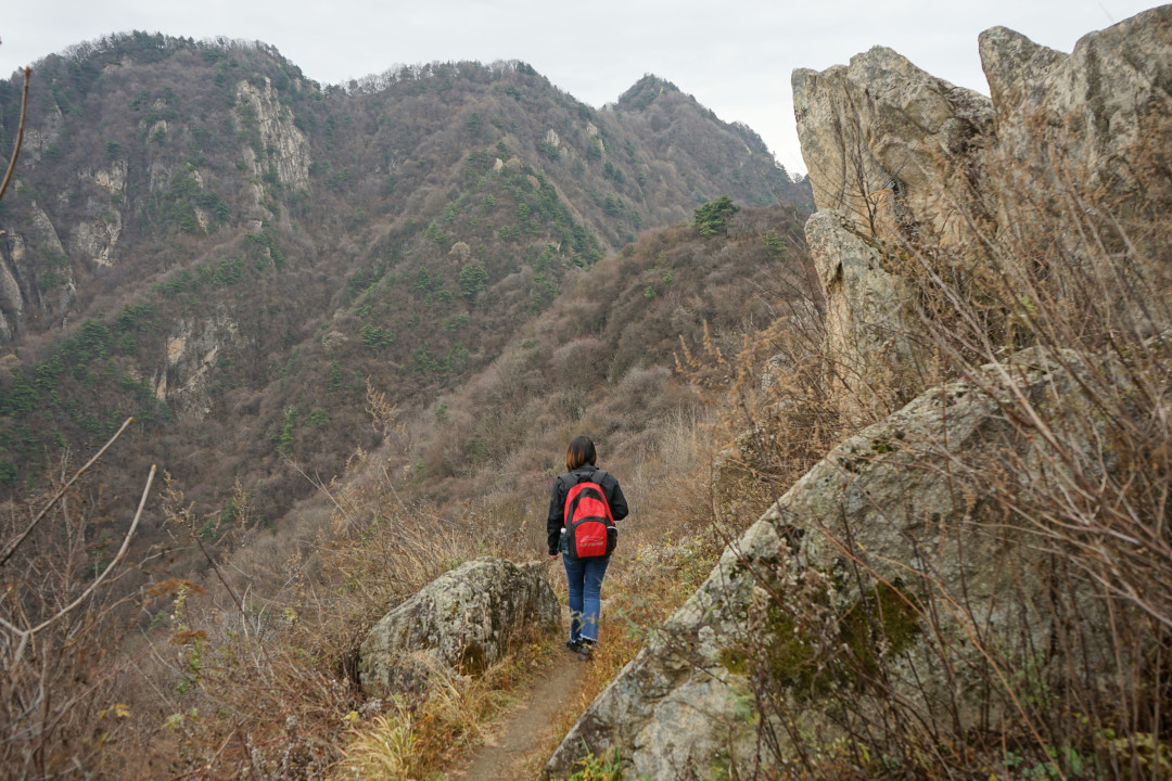 一个人穿秦岭,走错岔路到另一条山沟,幸遇70岁旱烟老人领出山