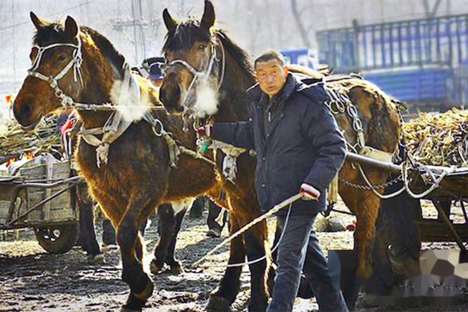兴高采烈地跟着马车一直跟随到生产队大院,对这些废钢铁产生了好奇心