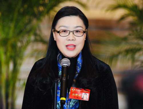 孙瑜委员:推进文化产业创新 建设文化强省