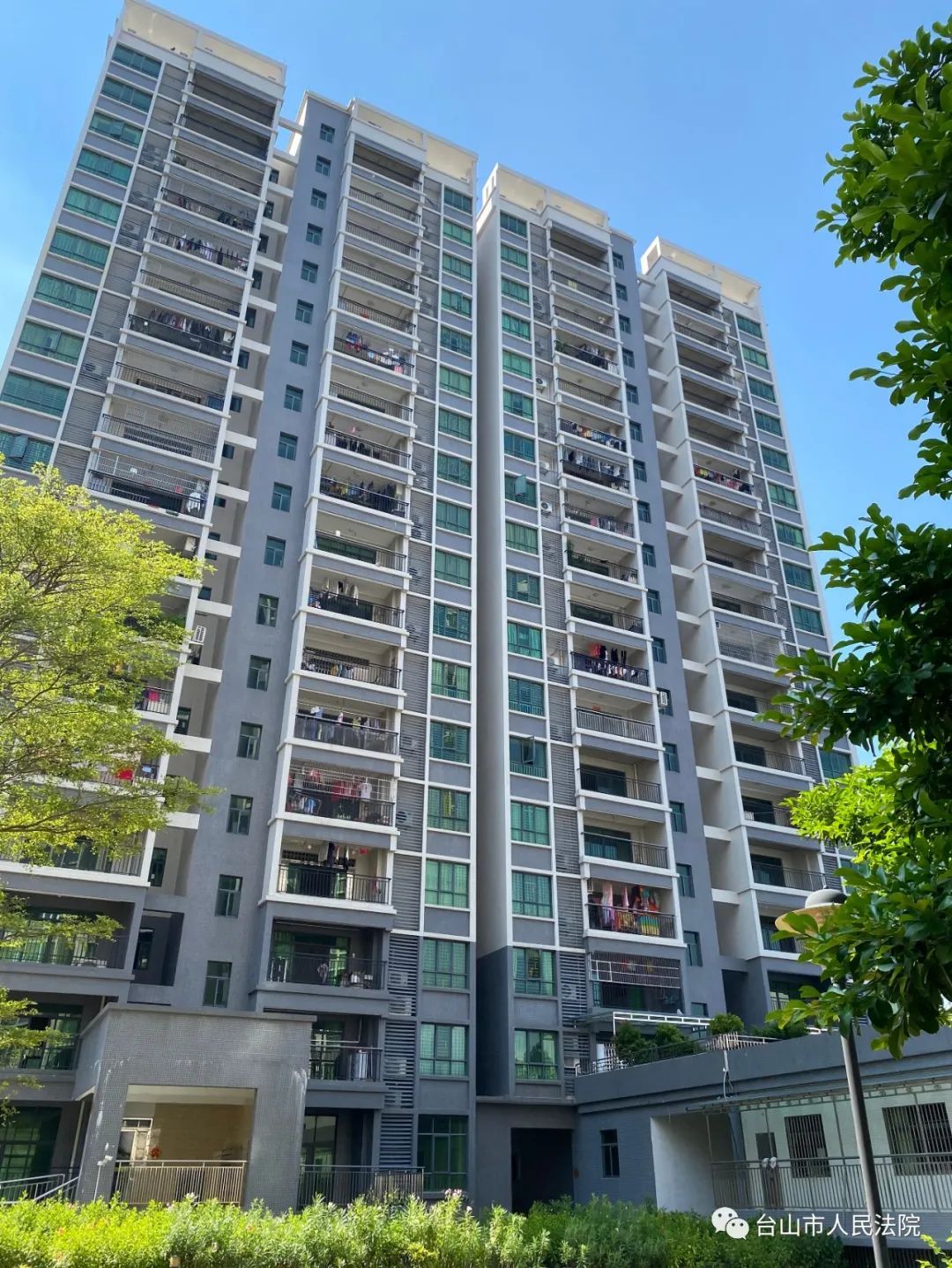 台山市人民法院拍卖公告五则