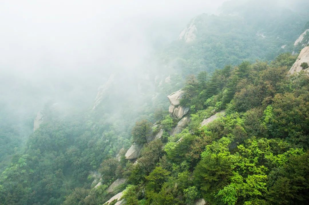 蒙山酒店排名图片