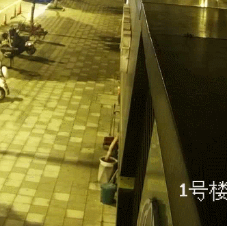 推荐|因为“爱情”，杭州一75岁大爷凌晨2点“采花”，结果悲剧了