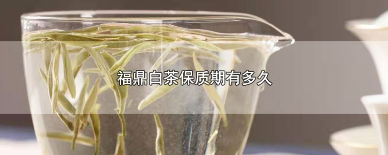 福鼎白茶保质期有多长时间