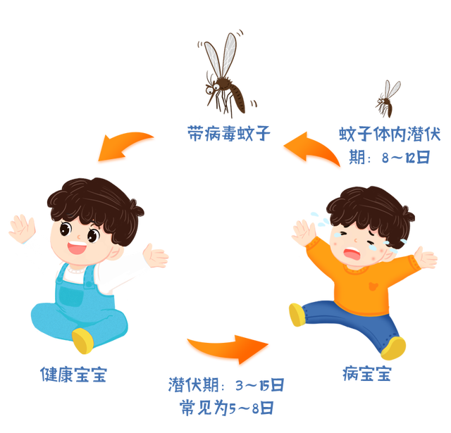 九成人不知蚊子最大天敌是啥教你个土招整晚开窗也不怕