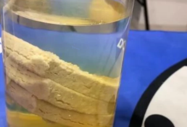 压缩饼干为什么抗饿?看看泡水24小时的样子,网友:怕了怕了!