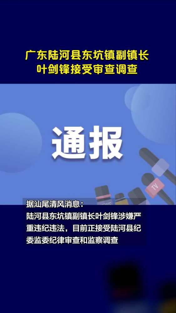 广东陆河县东坑镇副镇长叶剑锋接受审查调查,社会,政法,好看视频