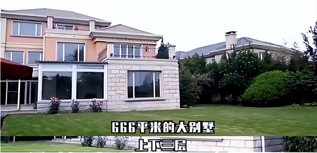 明星的生活有多奢靡?杨幂一张面膜2万,章子怡买私人飞机