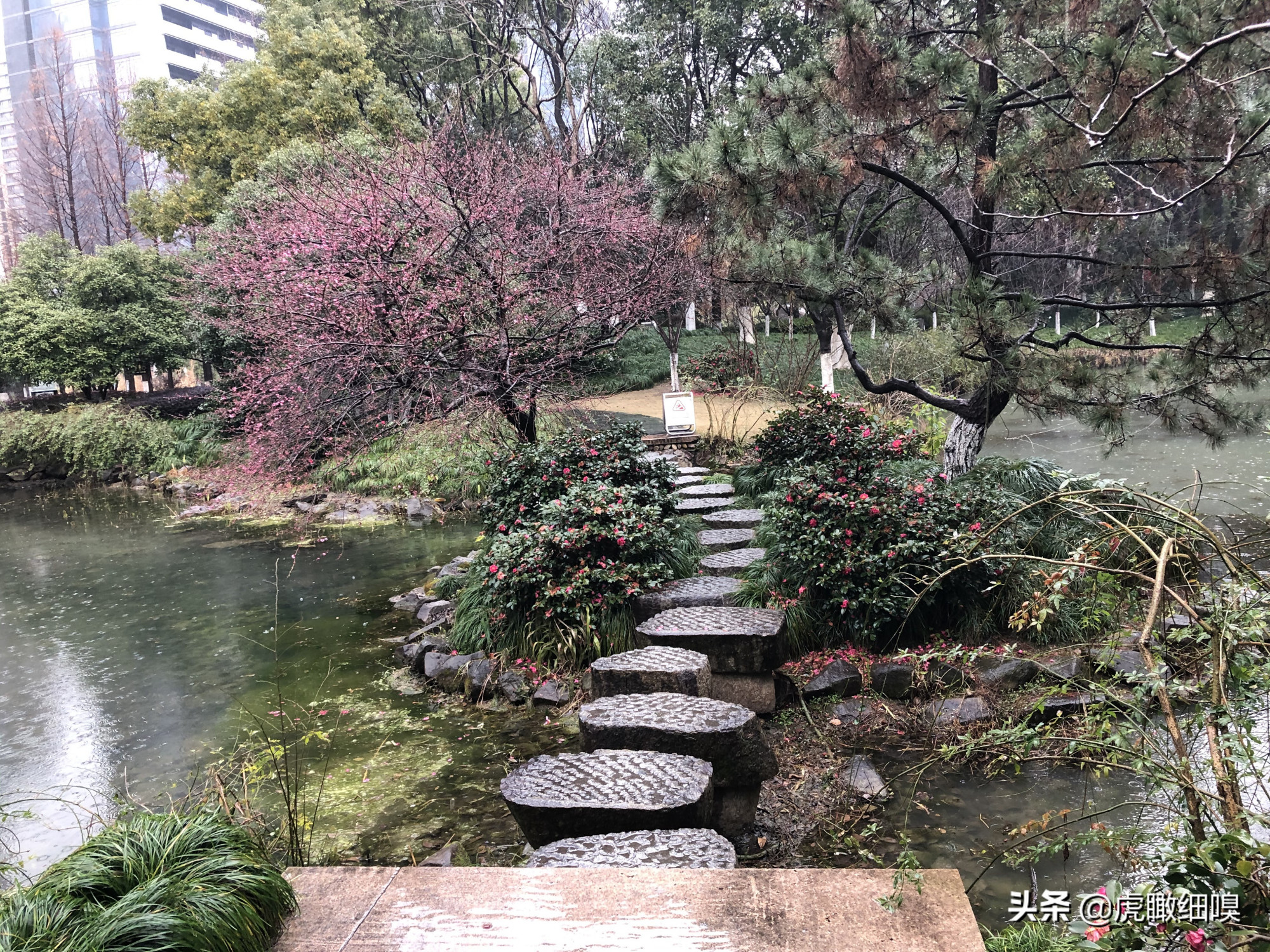 临平水景公园:好似散落于闹市中的一串珍珠的公园