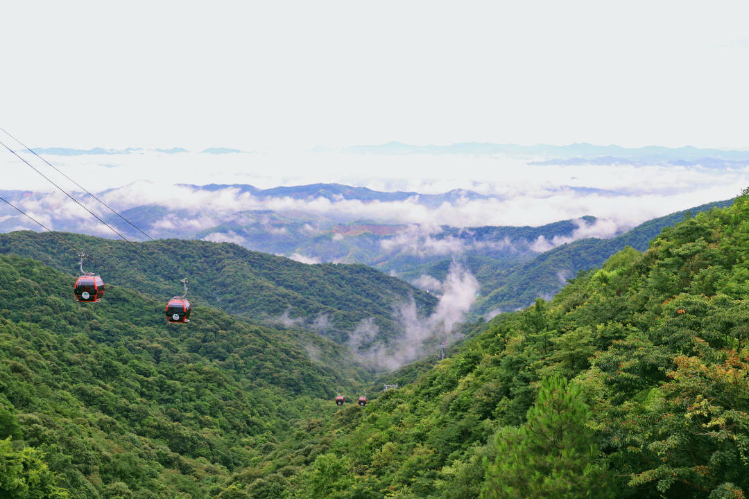 看不够的三百山四季美景建议收藏