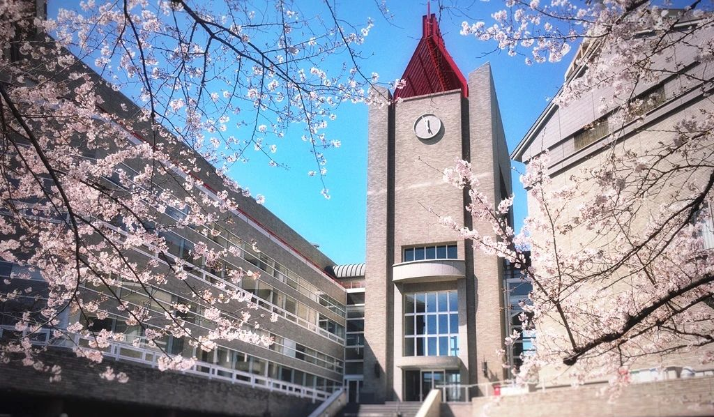 早稻田大學(xué)排名_有稻田的大學(xué)_早稻田大學(xué)排行榜