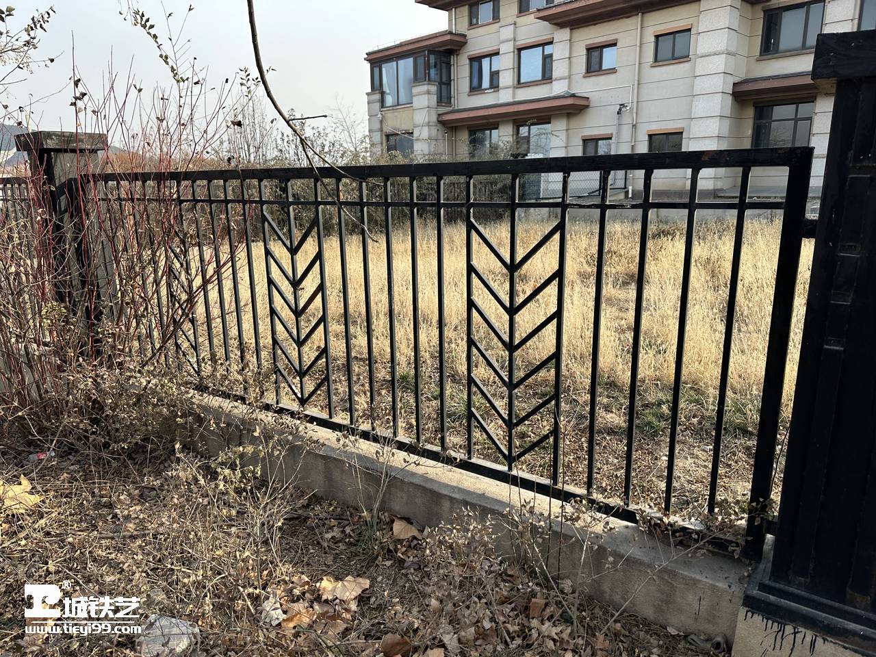 植物造型的铁艺围墙护栏样式,适用于高档别墅区tw2386-实景拍摄