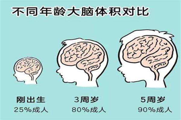 孩子3歲前是大腦發育