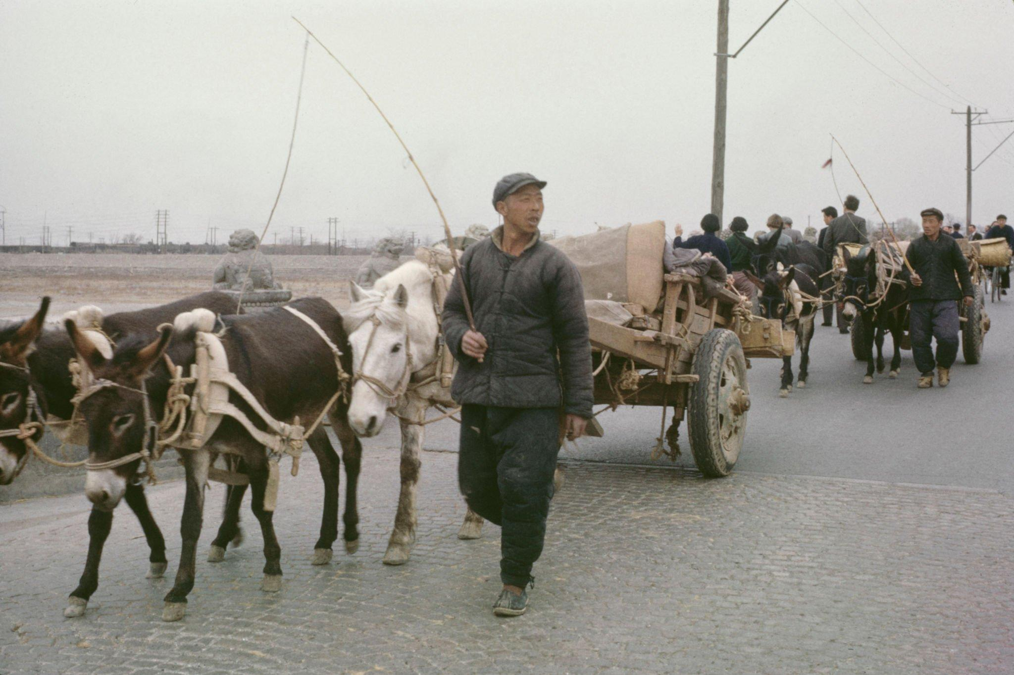 15张60年代老照片,人们意气风发,思想觉悟也空前的高,很是怀念