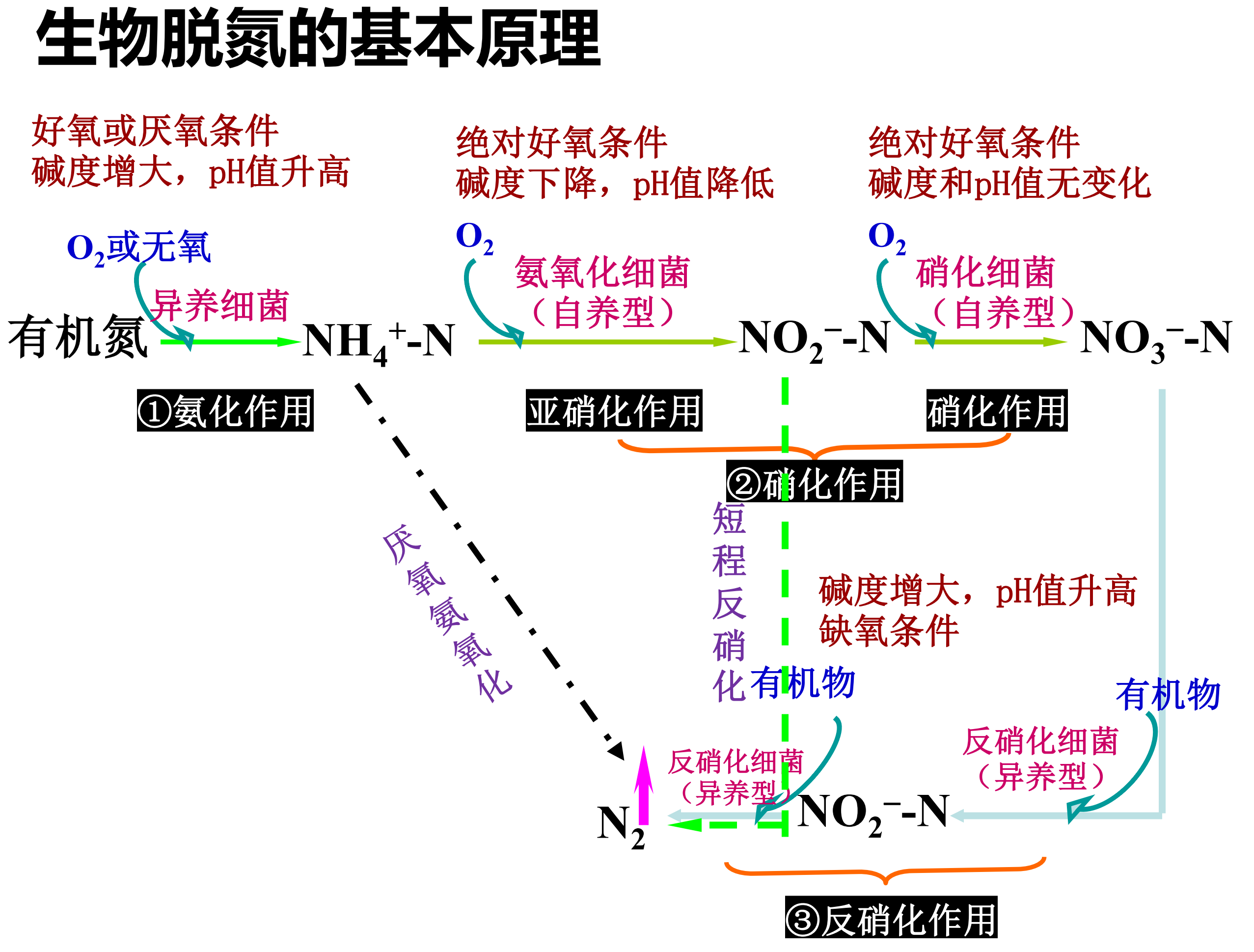 氮的相互转化图图片