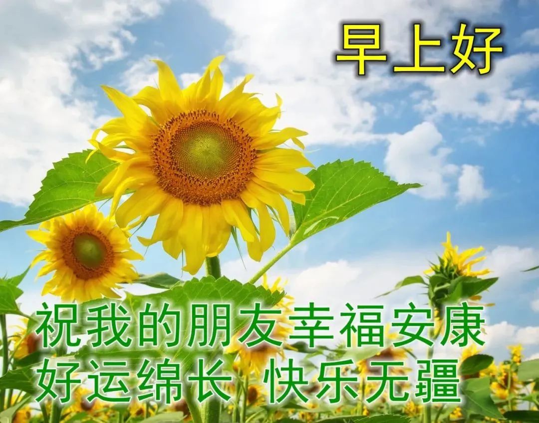 早安问候语语每日一句,成功的关键是坚持,坚持是一种能力