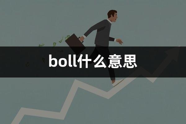 boll什么意思