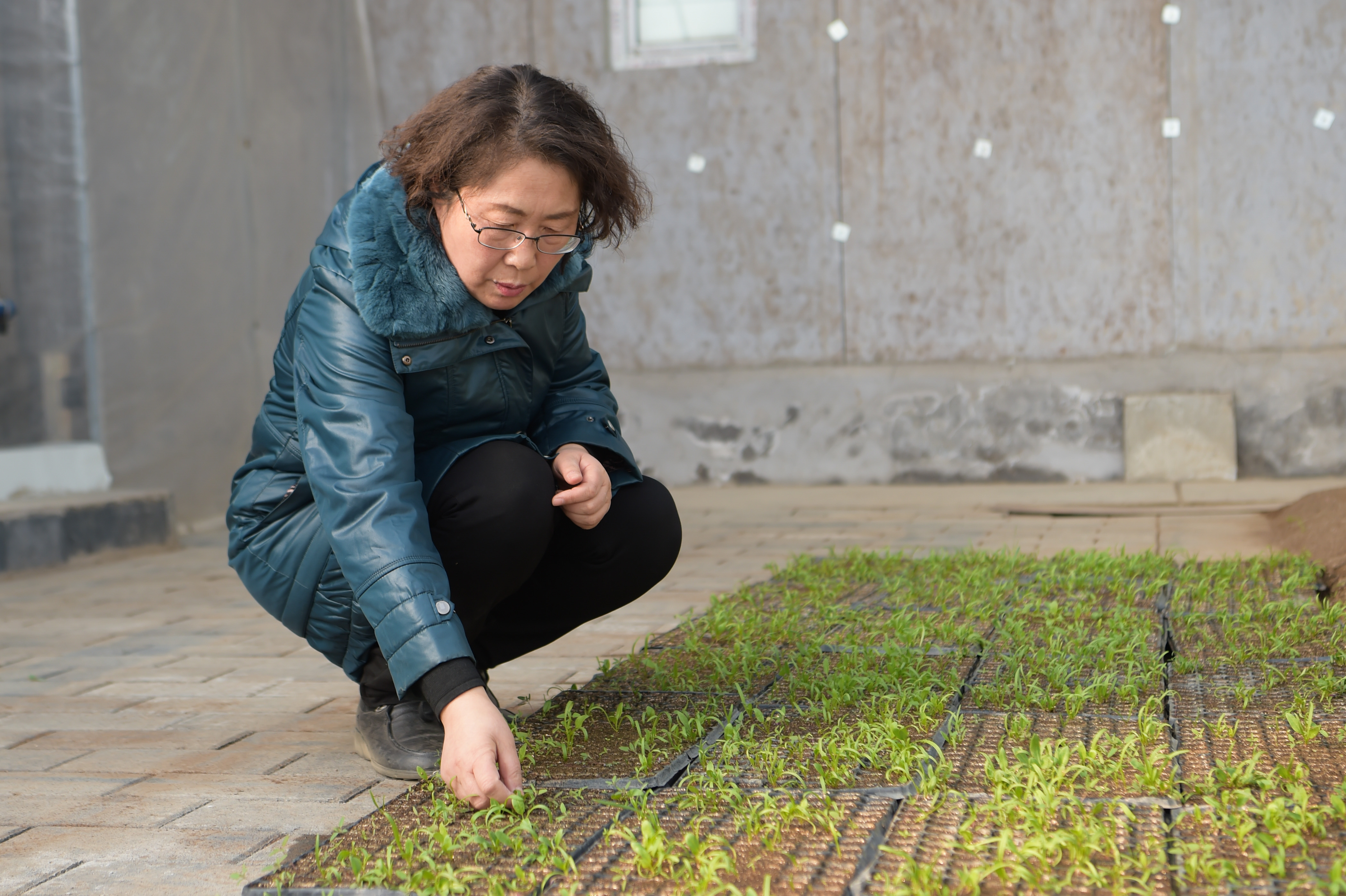 全国人大代表郭艳玲:推广新技术 促进农牧业绿色发展(3)