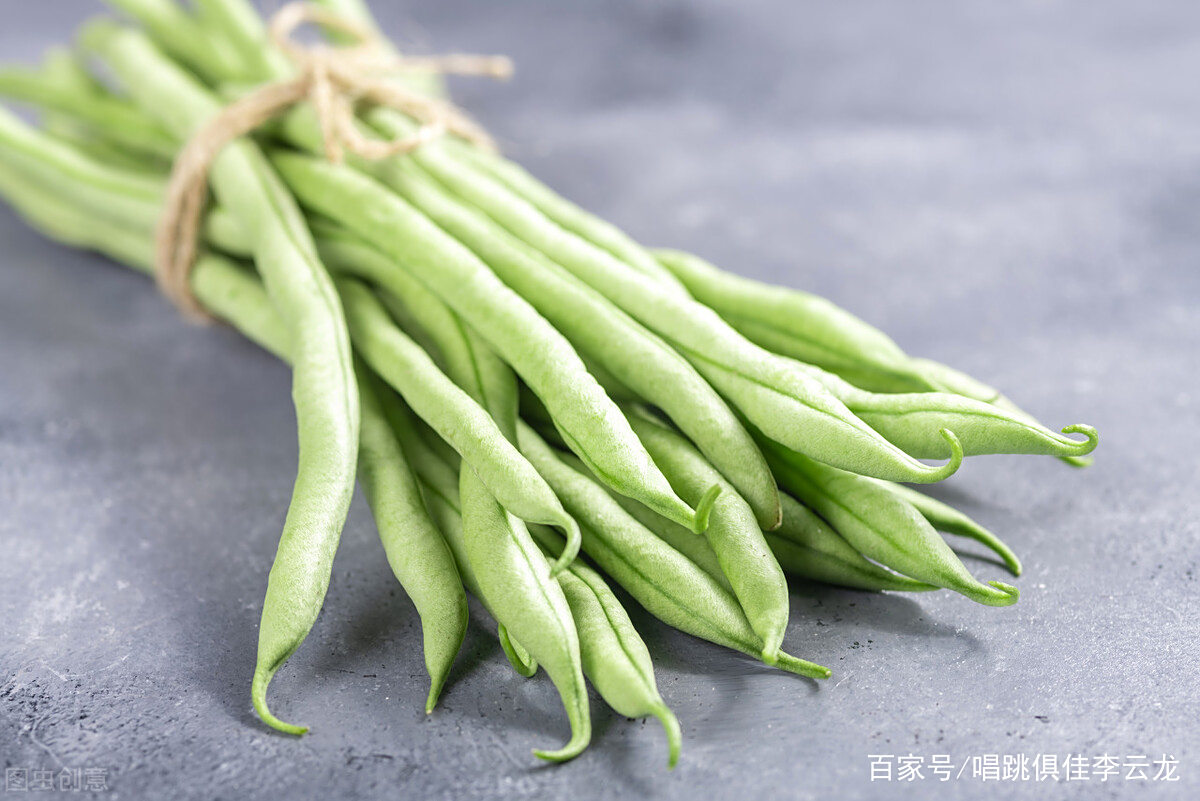 哪种蔬菜含盐量高蚂蚁庄园的简单介绍