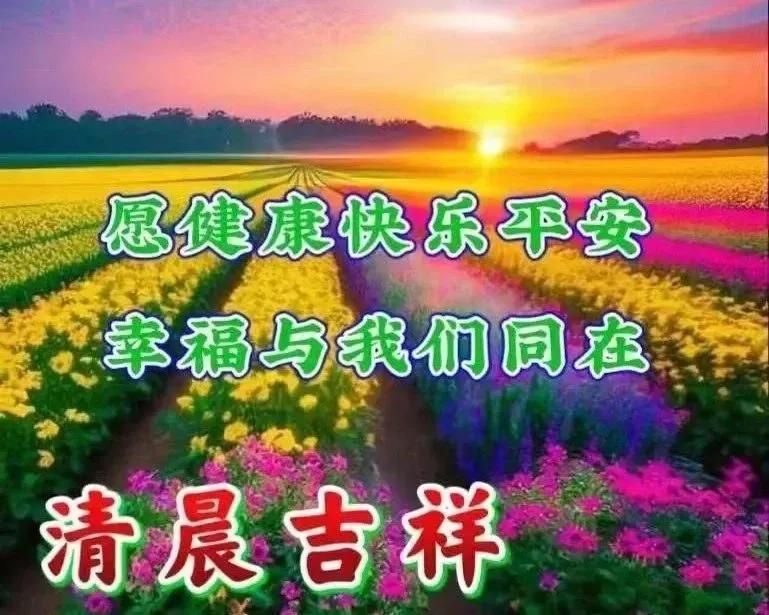 早安的句子,讓人心情愉悅,願你今天也能收穫美好的心情