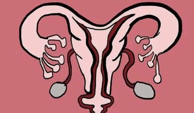 "石女"和正常人有什么区别?可以正常结婚生育吗?