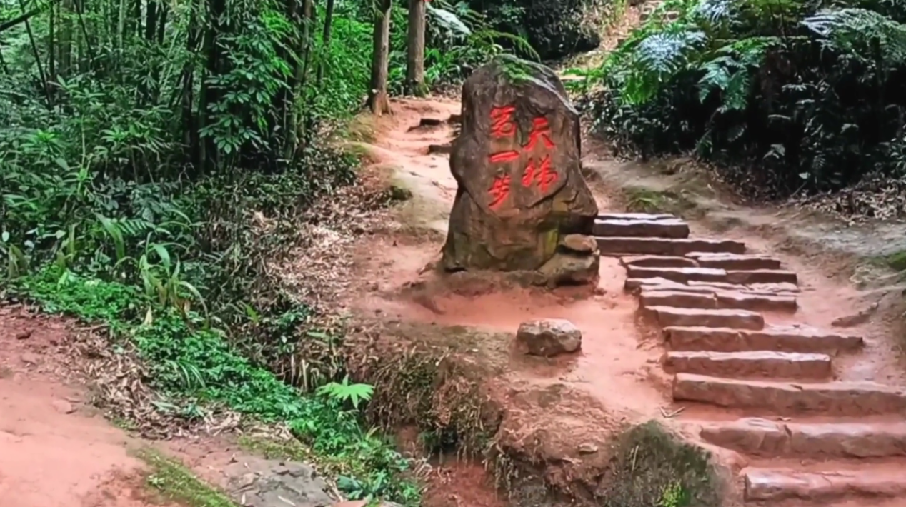 重庆江津"爱情天梯":男子50年凿6000多级阶梯,只为爱人不摔跤