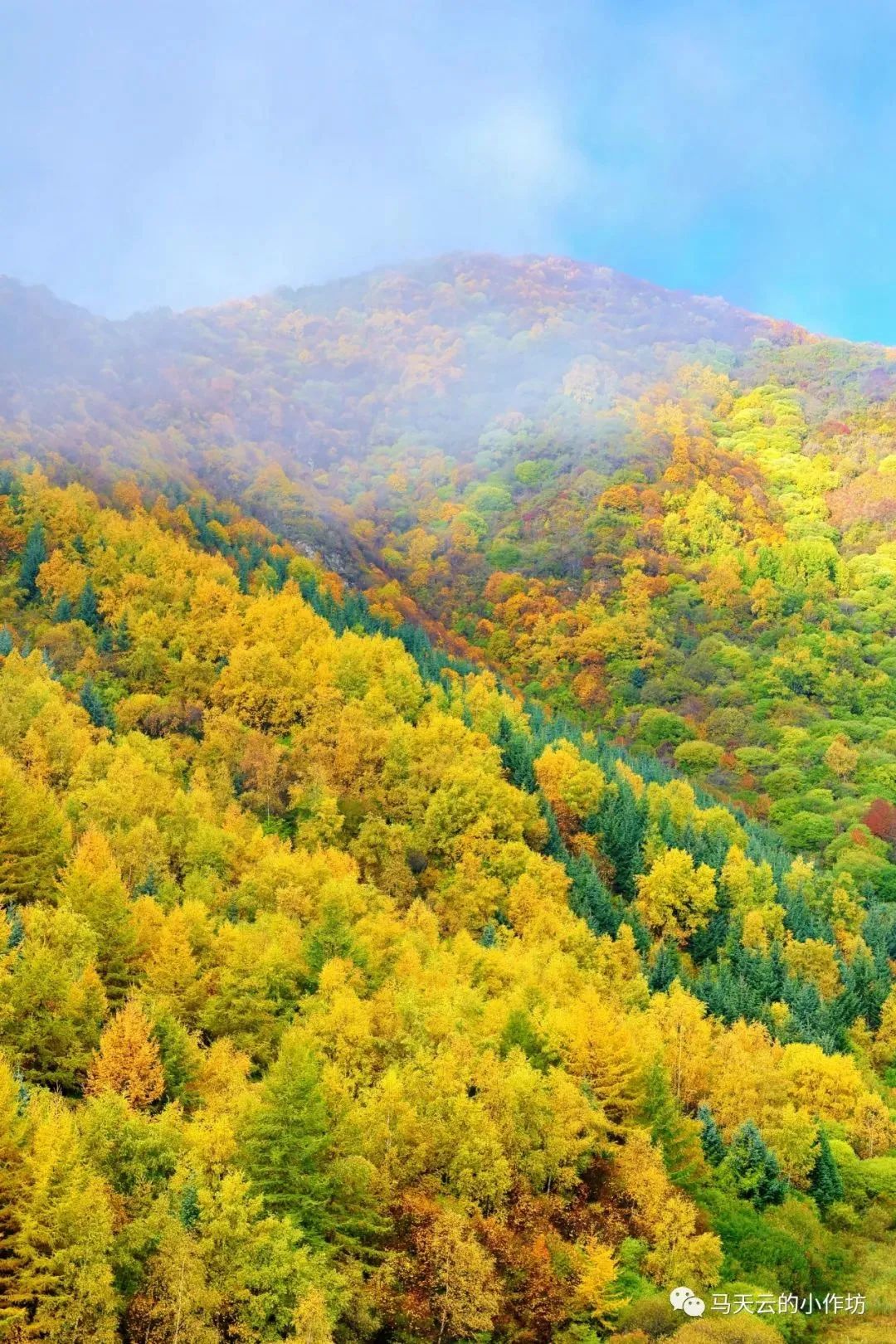 深秋已至漳县分水岭秋日美景吧在旅途中好好感受漳县的令人心旷神怡的