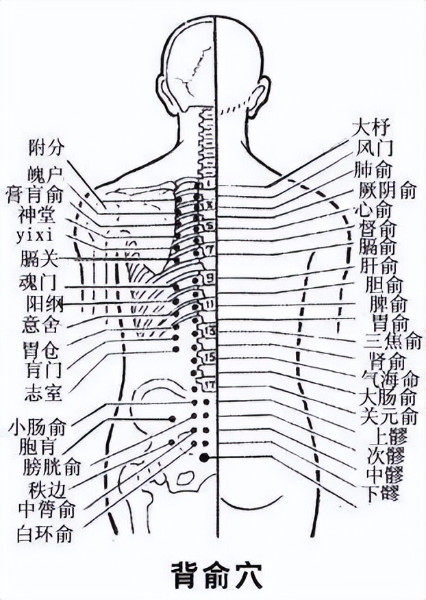 《黄帝内经》 后背俞穴为五脏之门 后背外露