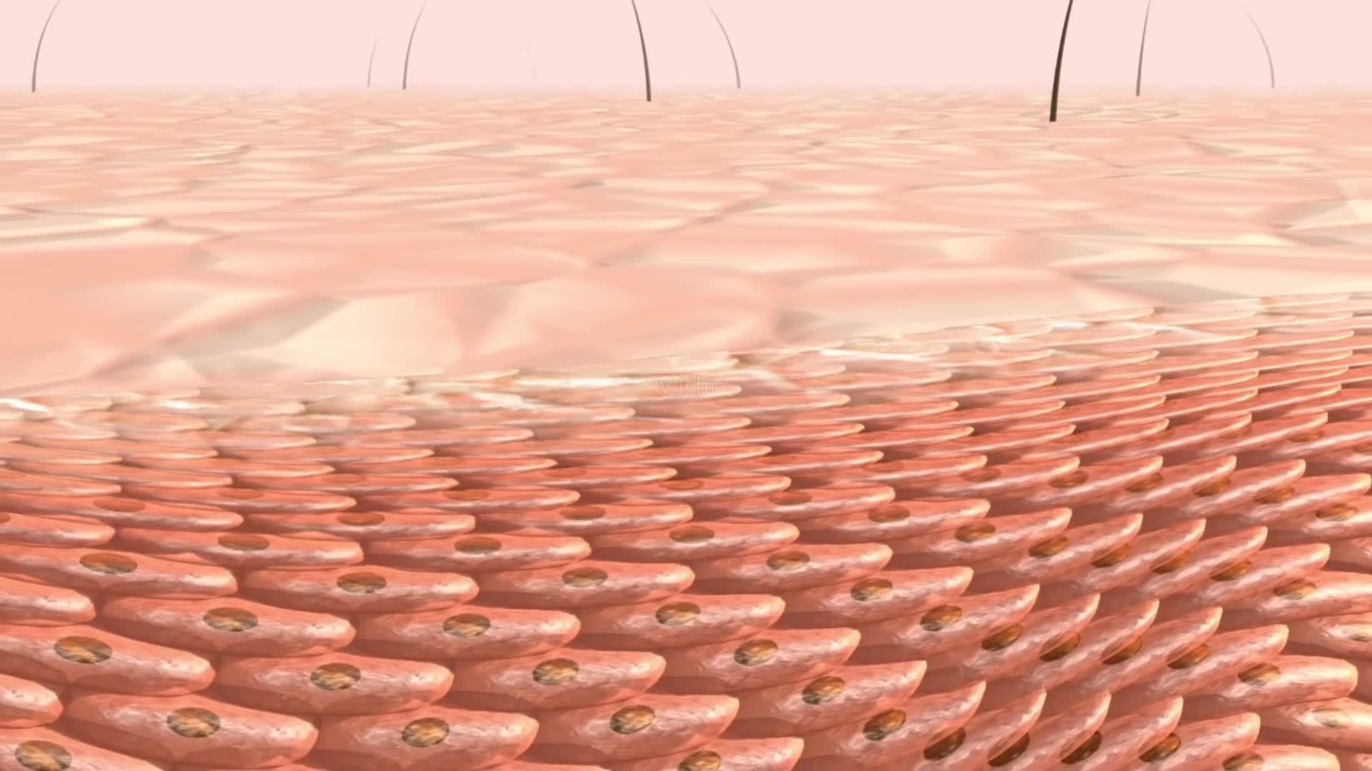 人的身体会不会是一个"宇宙",体内住着无数个"外来客"?