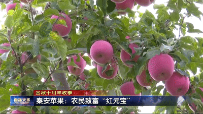 致富机器大全下载苹果版(致富机器大全下载苹果版安装)