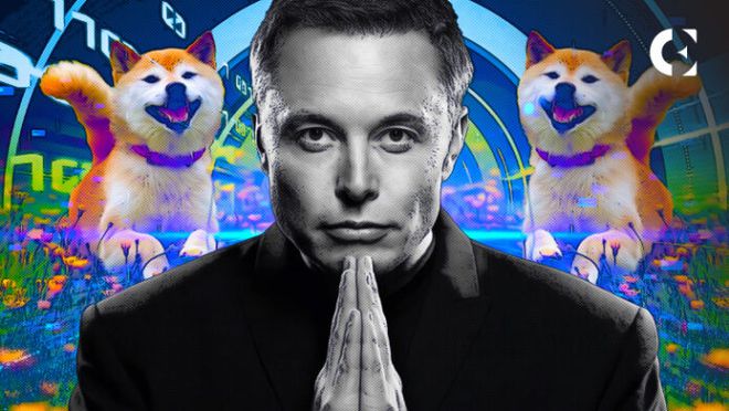 狗狗币 (doge) 在埃隆·马斯克 (elon musk) 的狗推文后飙升