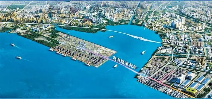 妈湾跨海通道,春风隧道……这些重点交通工程有新进展了