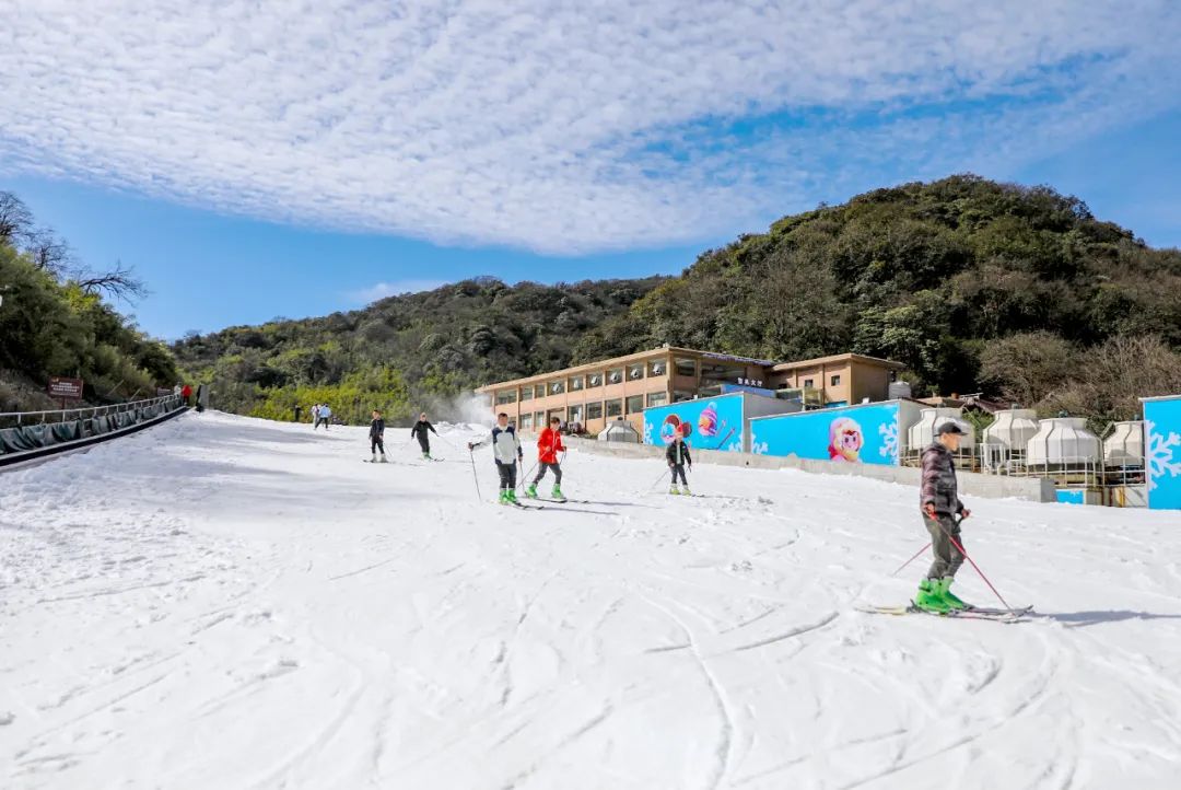 金佛山滑雪场开滑!南方唯一开放的高山户外滑雪场,等你来体验!