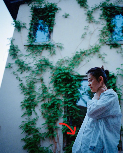 48岁梅婷晒家中豪宅自拍照,疑似怀上第三胎,肚子微凸眼圈发黑