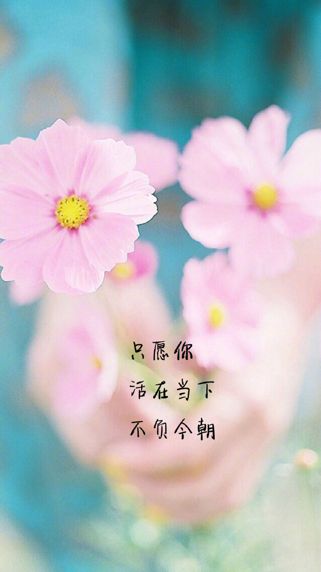 付出真爱的婚外情,还能否真正回归家庭