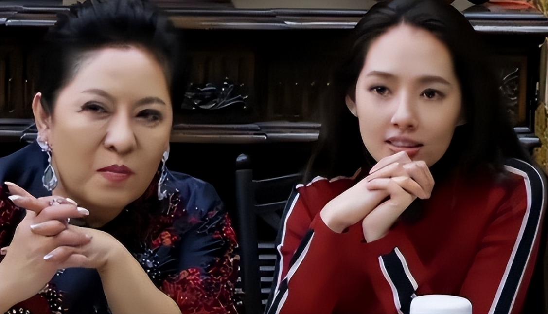 曝光真相揭秘奚梦瑶的豪门婚姻真假向太替身引发猜想