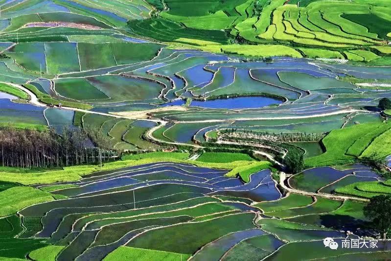 走进龙水31|那山,那田,那水