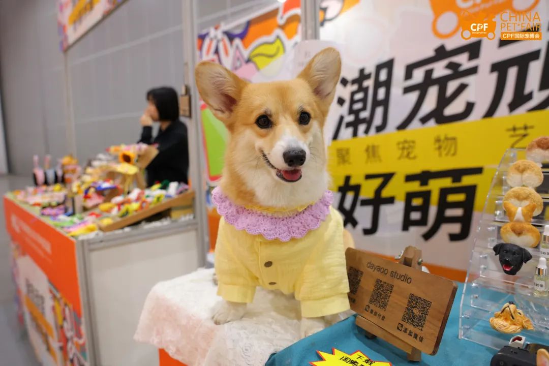 2022cpf武汉宠物展"潮宠齐聚,萌动你心"等你来嗨